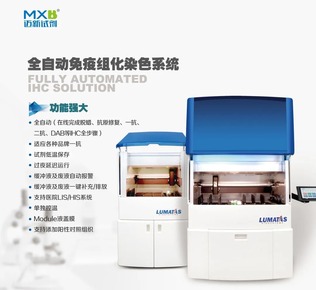 11.webp_XT7Dbb 11.webp_XT7Dbb