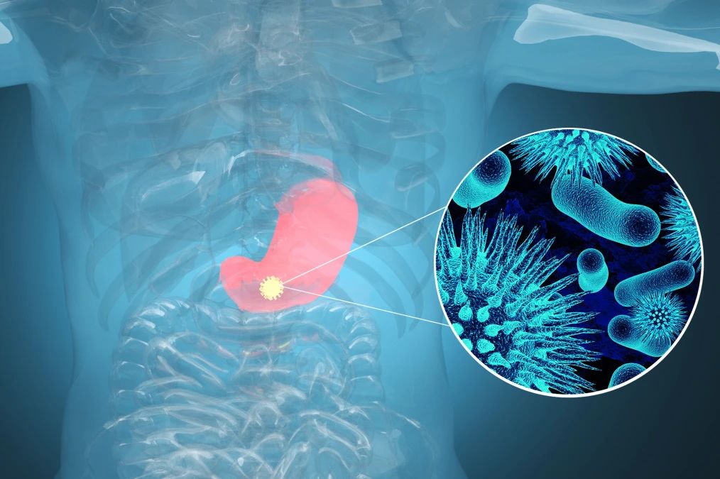 k��Ǯ���ٷ���վ - kdpayǮ��