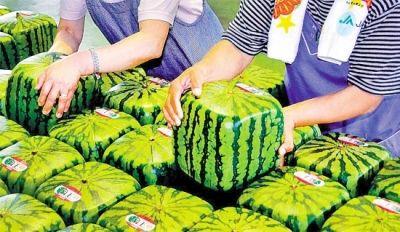 k��Ǯ���ٷ���վ - kdpayǮ��